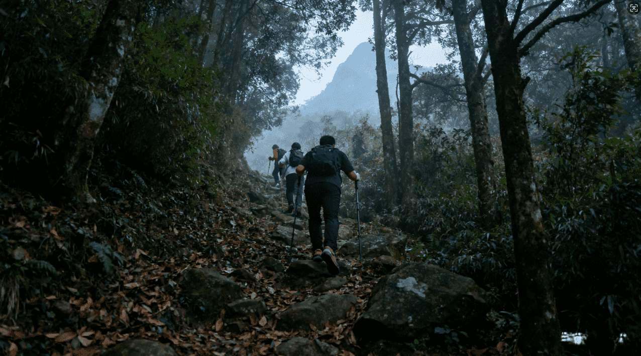提升推特访问速度的专业加速器指南